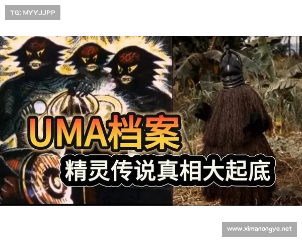《精灵传说背后的神秘秘密与古老传承的探索之旅》