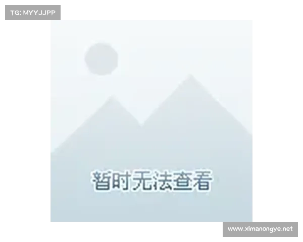 成就顶尖决斗者的策略解析与卡片搭配技巧分享
